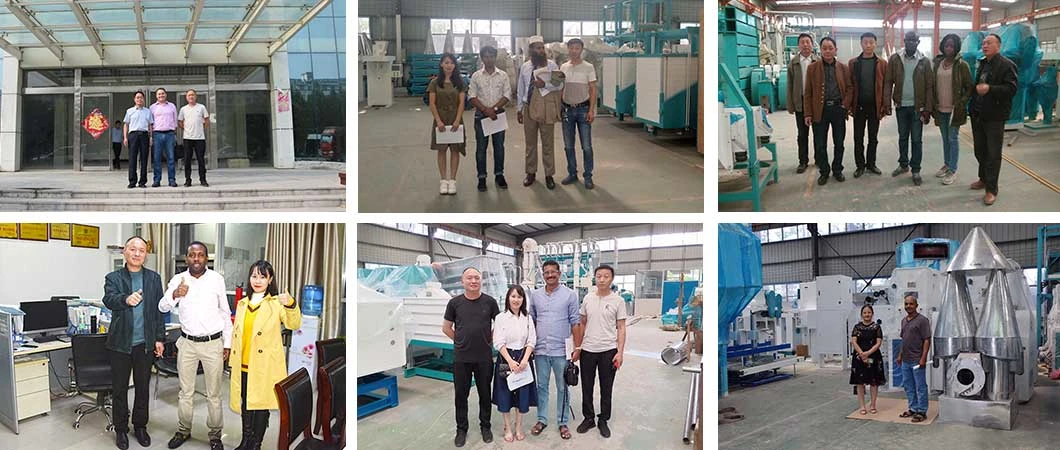 High Quality 50t/24h Wheat Flour Milling Equipment for Africa